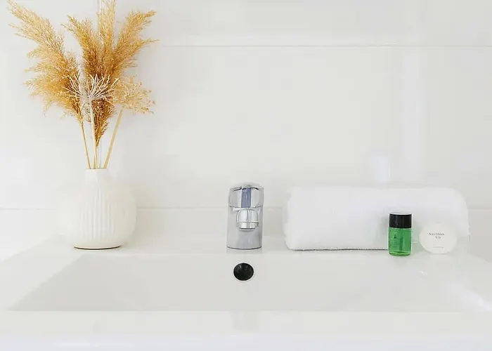 Stylish Near The Tuileries Gardens